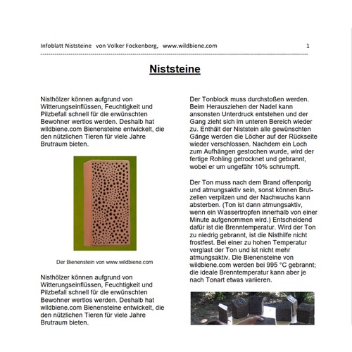 Infoblatt Niststeine