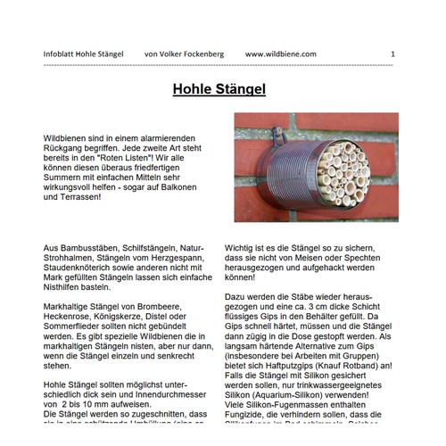 Infoblatt hohle Stängel