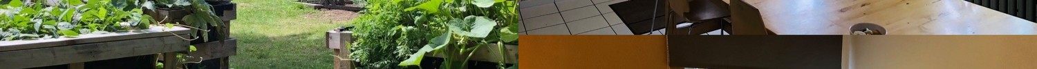Jugendzimmer, Esszimmer, Garten