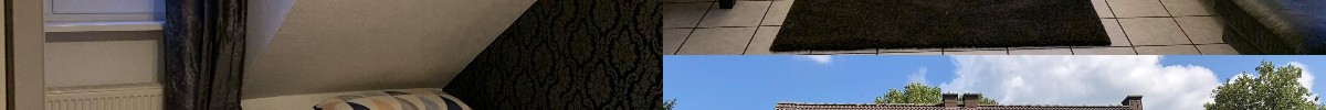 Zimmer, Garten und Wohnzimmer der WG Steinheimer