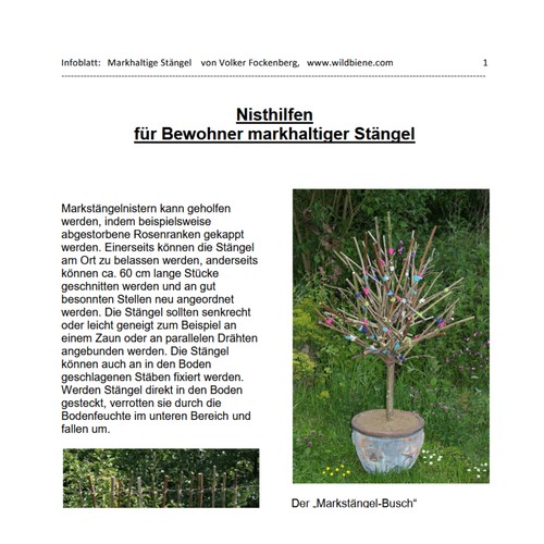 Infoblatt markhaltige Stängel