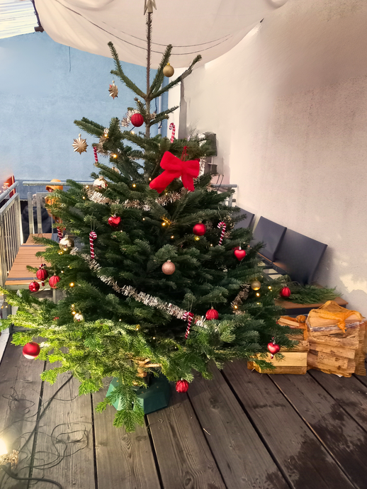 Weihnachtsbaum (vergrößerte Bildansicht wird geöffnet)