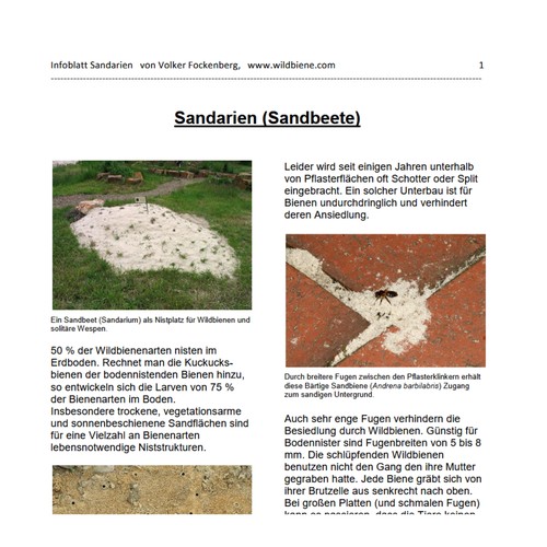 Infoblatt Sandarien