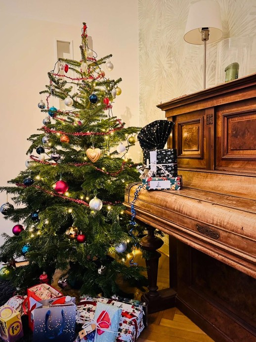 Weihnachtsbaum (vergrößerte Bildansicht wird geöffnet)
